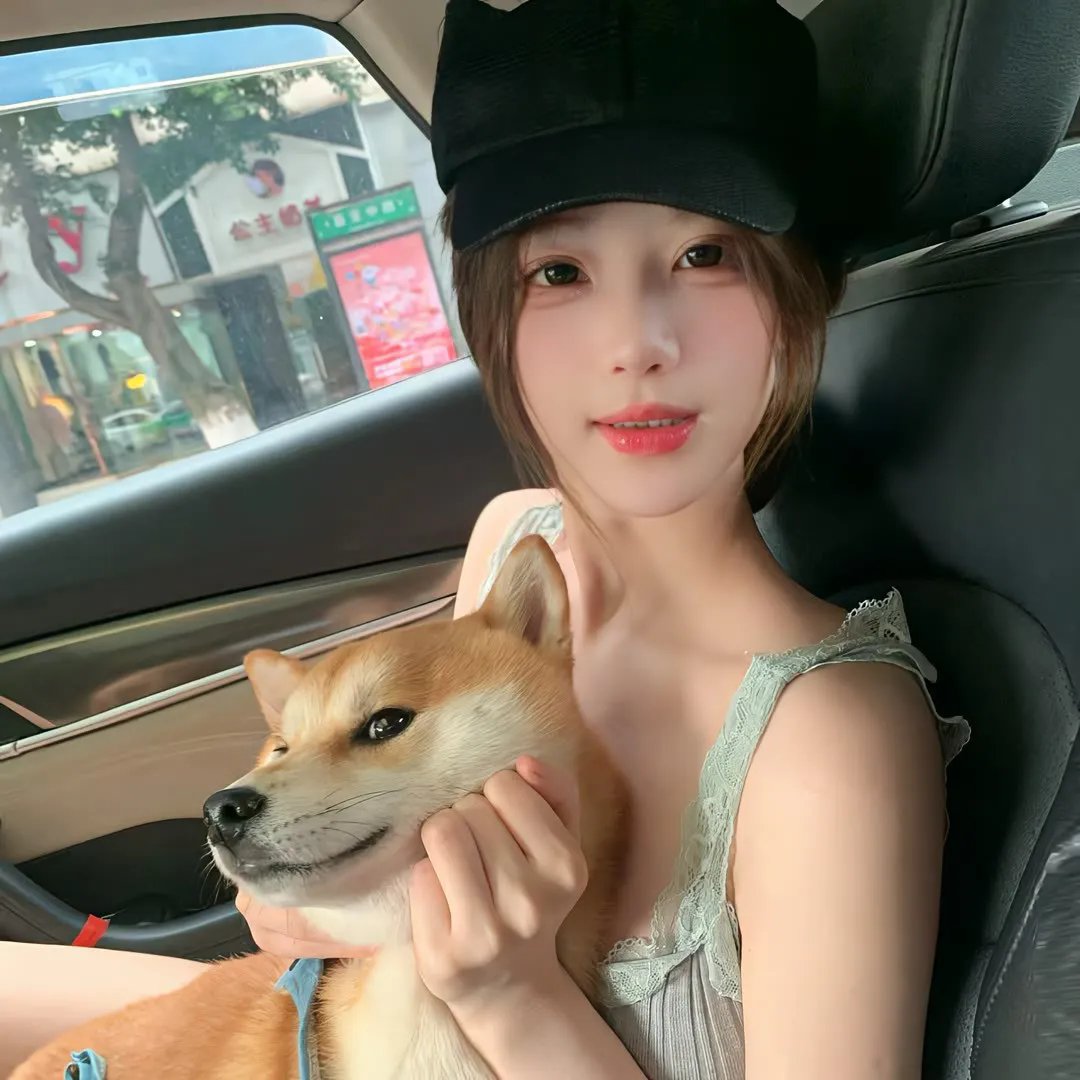 绝对冲突